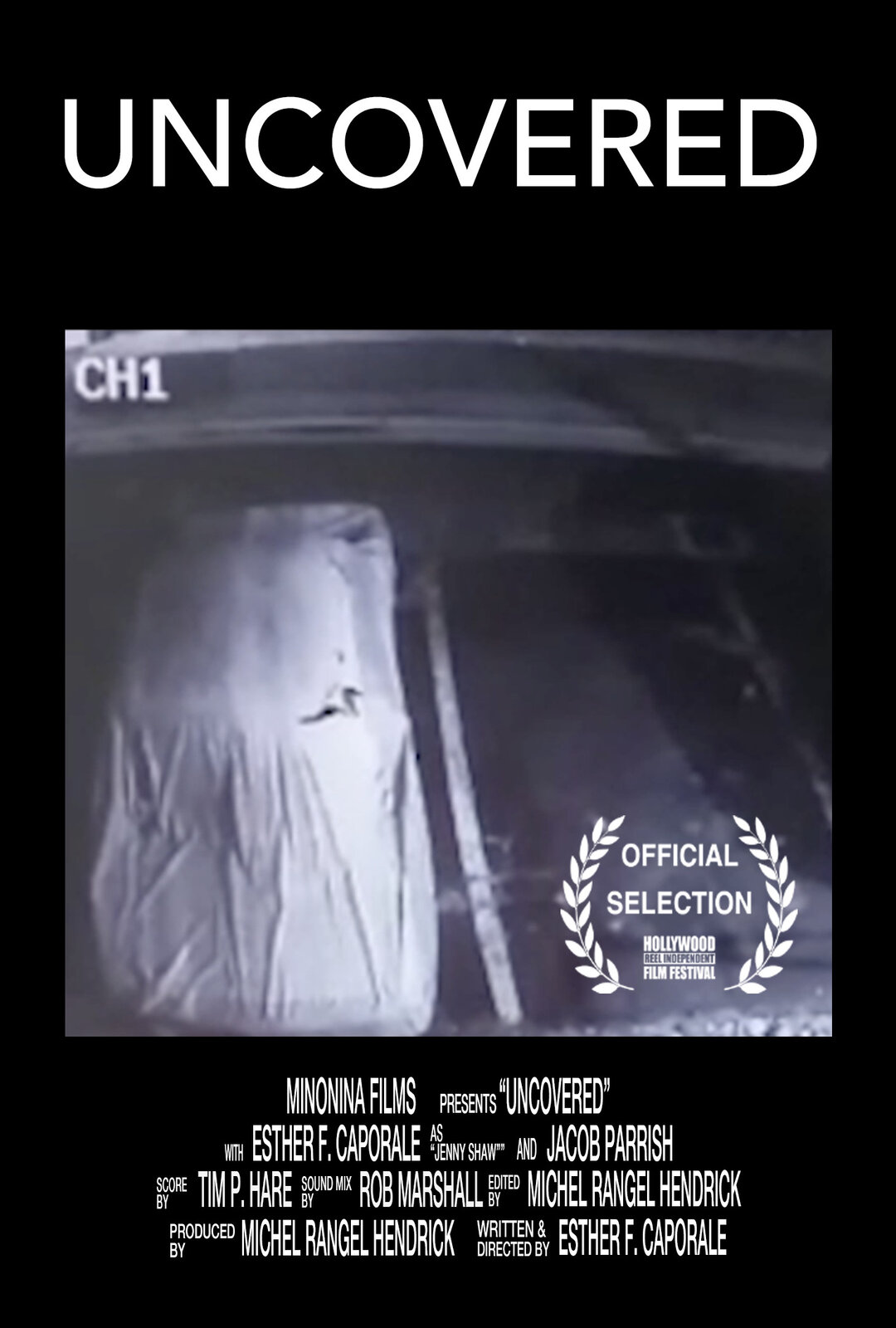 Uncovered poster